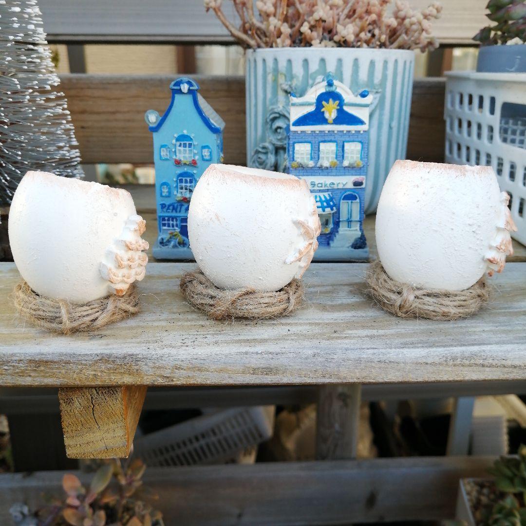 221. たまご鉢 3個　多肉植物　寄せ植え