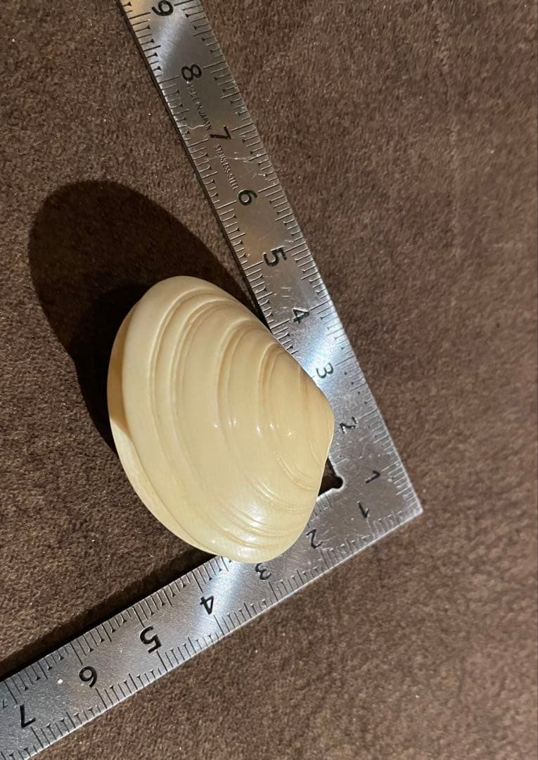 ⚫️Tonori さま専用⚫️ 細密 彫刻 根付 骨 牙 柘植等 実美銘 共箱付き