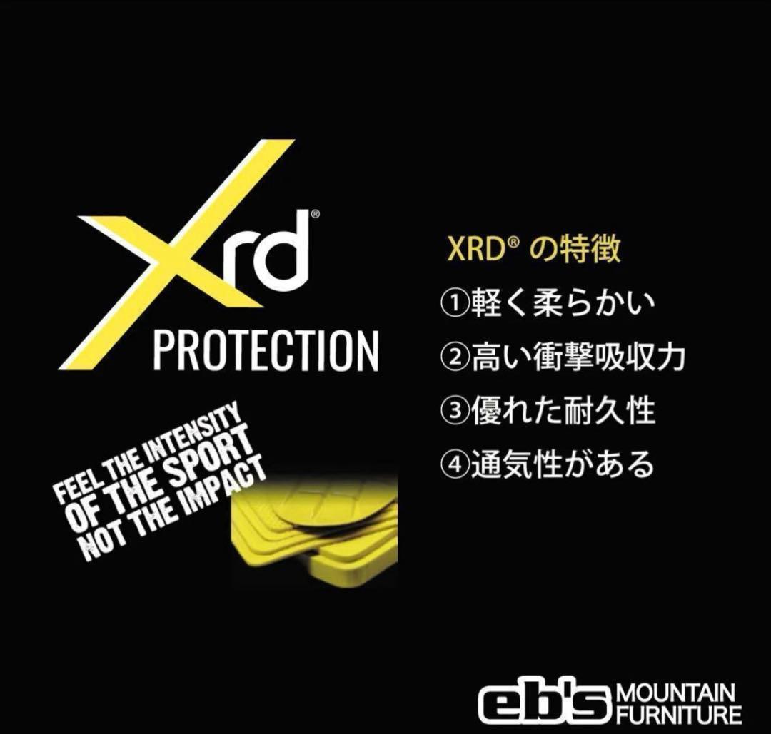 限定値下げ- eb’s エビス ヒッププロテクター Lサイズ／スノボ 新品同様