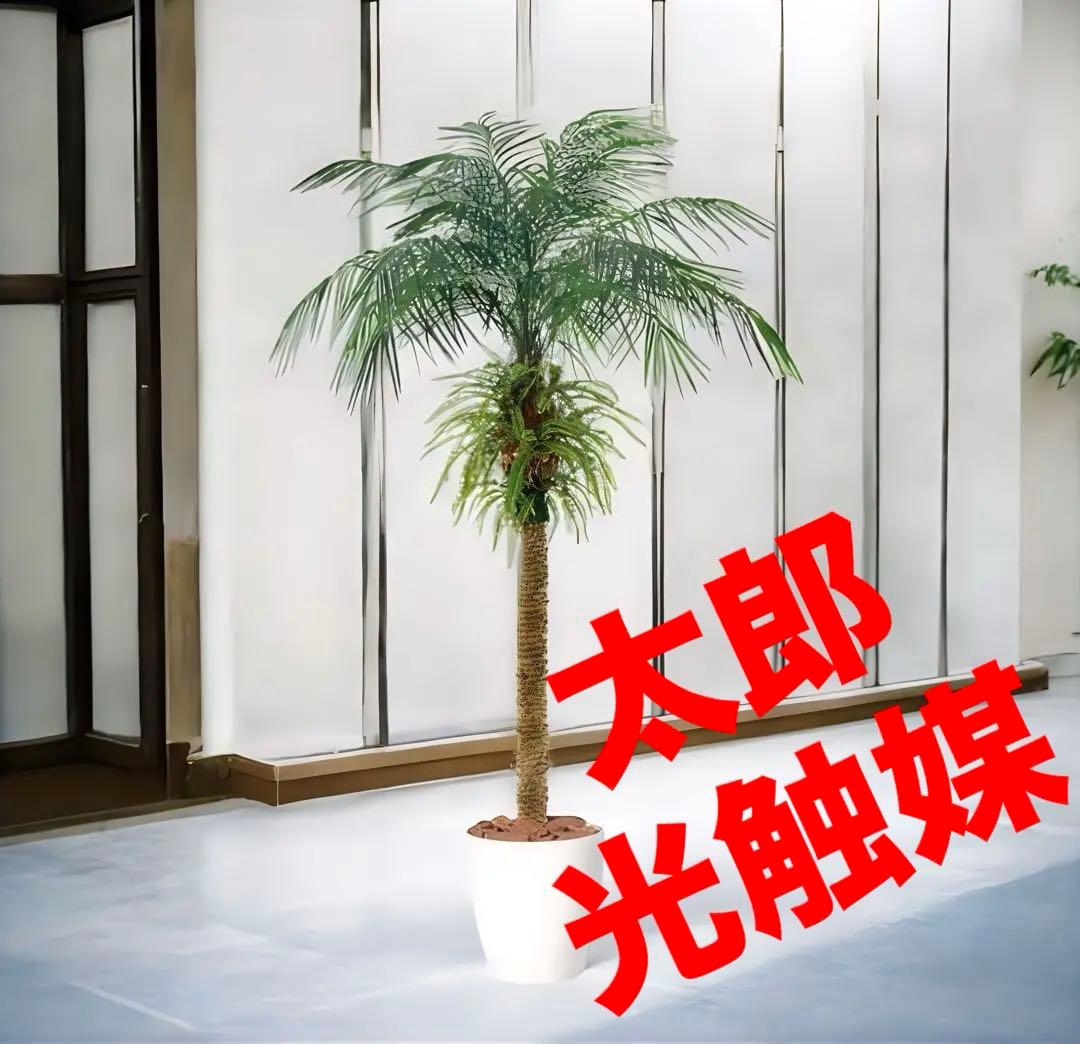 光触媒　人工観葉植物　フェイクグリーン　フェニックス・ロベレニー PLUS