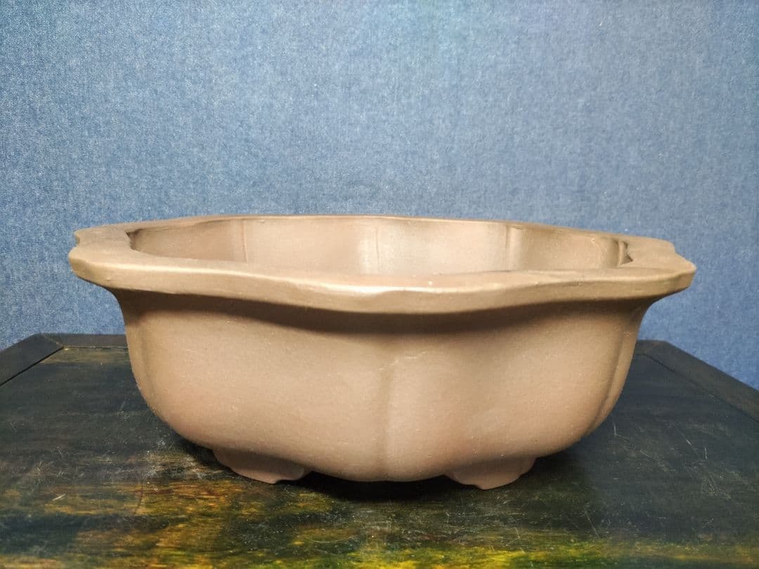 盆栽鉢　　錢号　　早い者勝ち