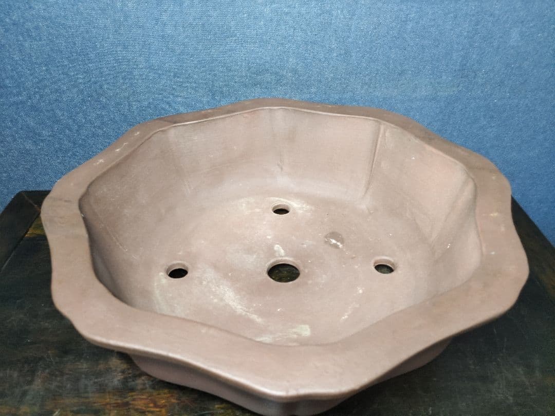 盆栽鉢　　錢号　　早い者勝ち