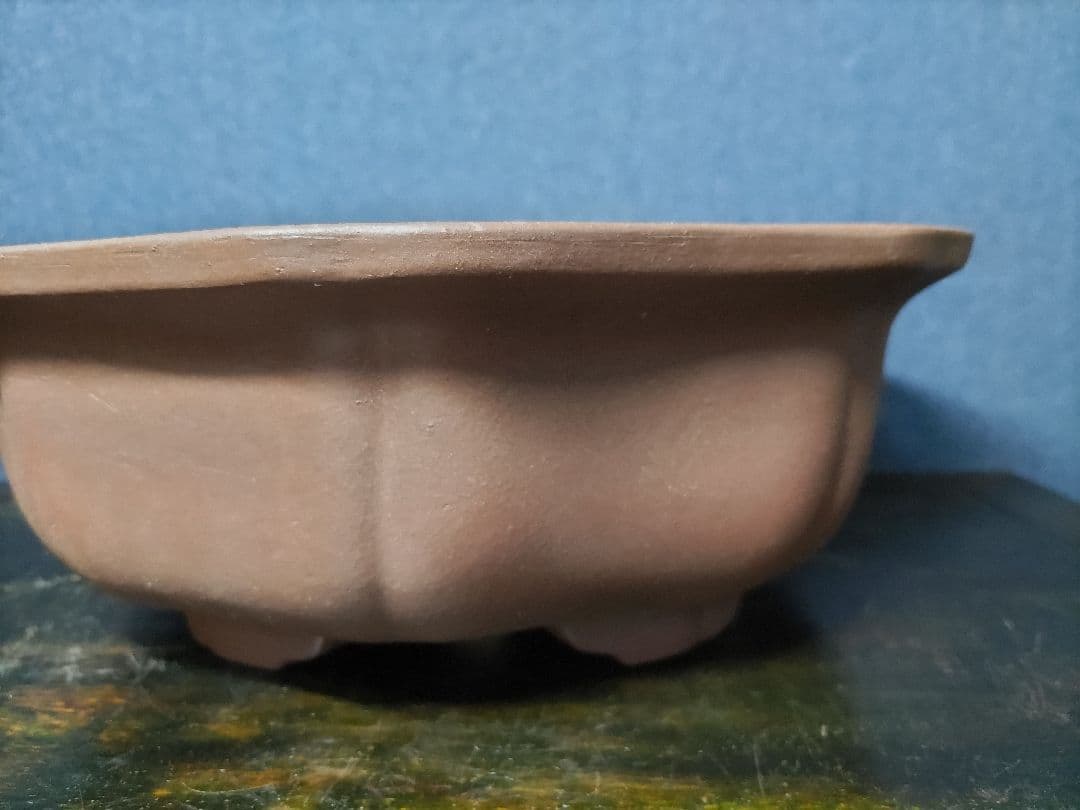 盆栽鉢　　錢号　　早い者勝ち