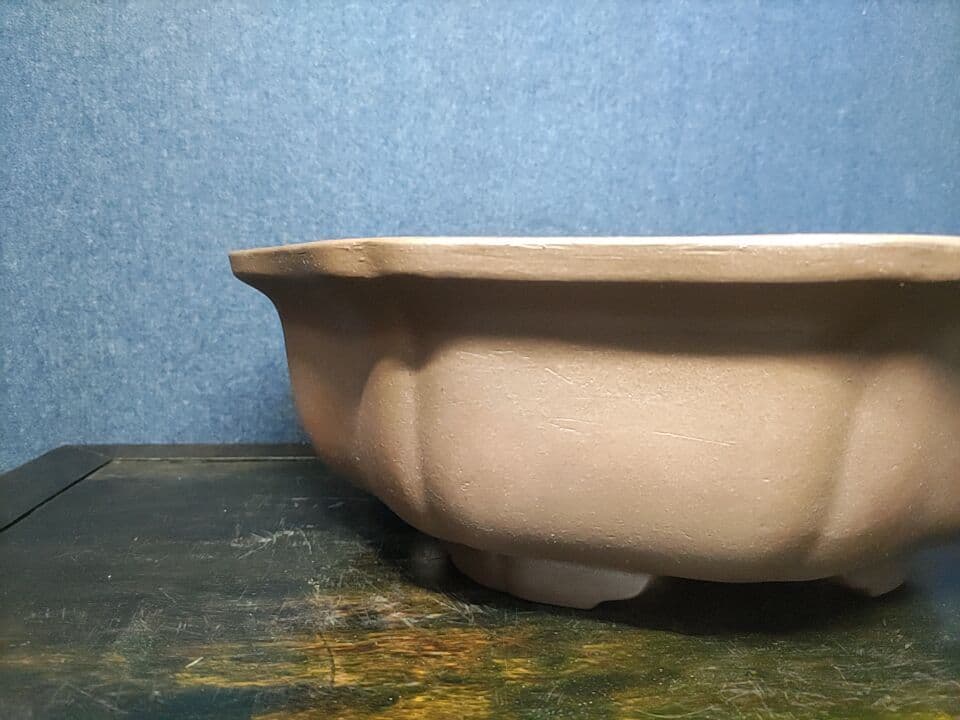 盆栽鉢　　錢号　　早い者勝ち