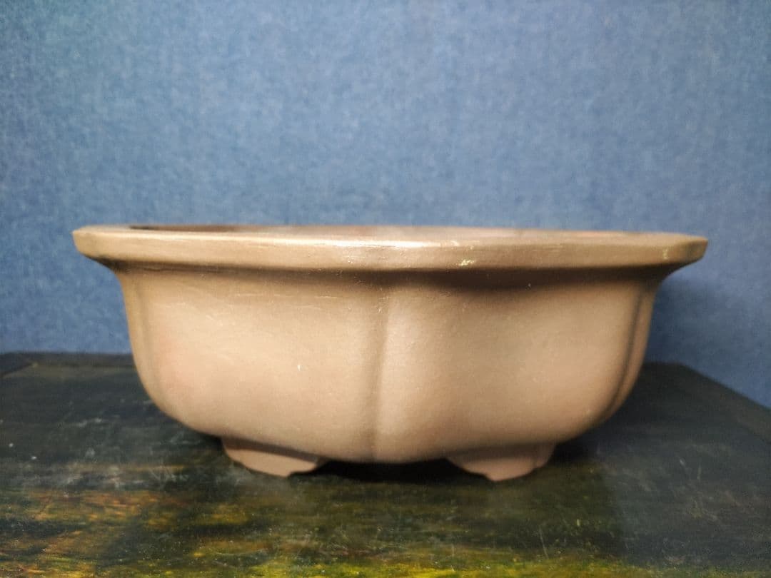 盆栽鉢　　錢号　　早い者勝ち