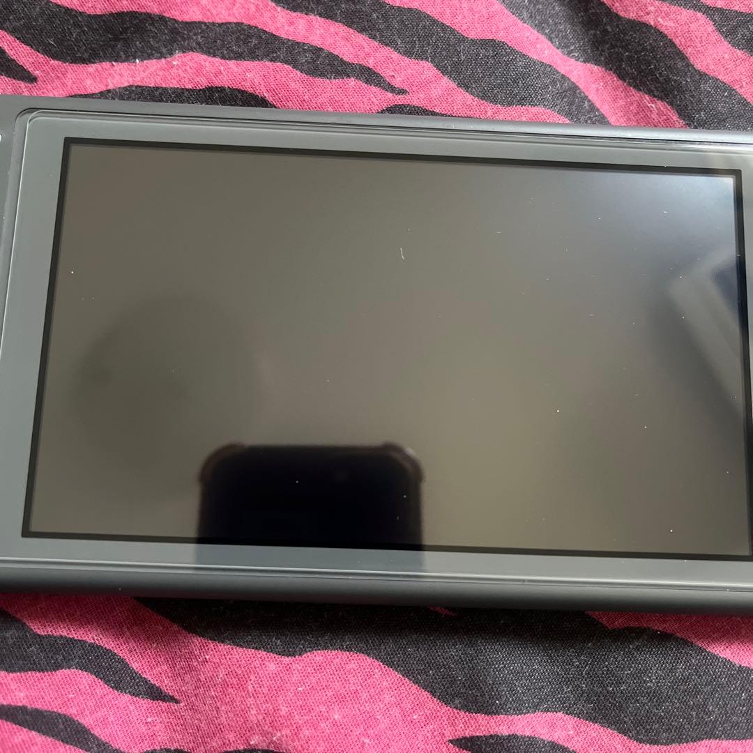 Switchライト グレー 純正充電器 ケース どうぶつの森付き 箱無し