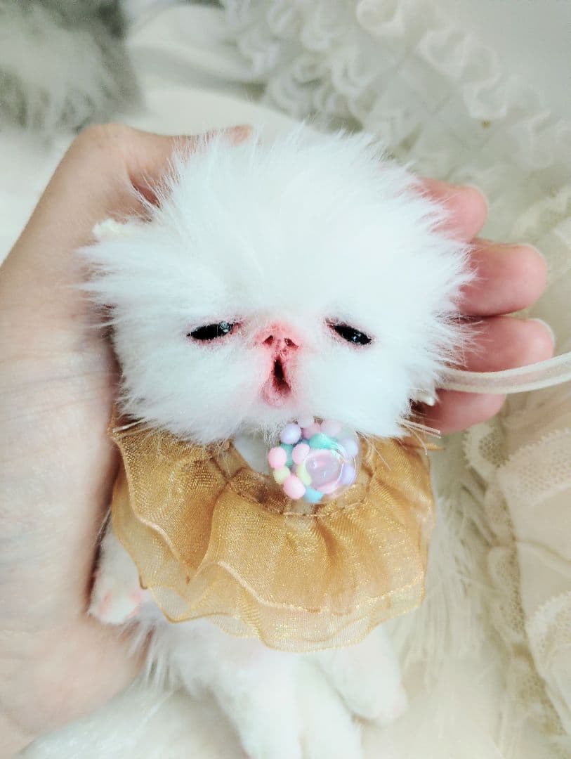 ♡さぁや♡ちゃんオーダー❤やわむぎゅ子猫ちゃん❤アートドール♡ぬいぐるみ♡