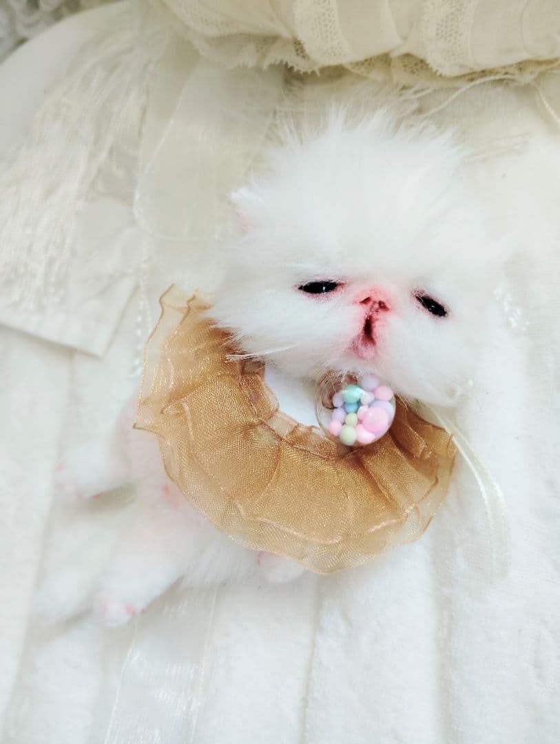 ♡さぁや♡ちゃんオーダー❤やわむぎゅ子猫ちゃん❤アートドール♡ぬいぐるみ♡