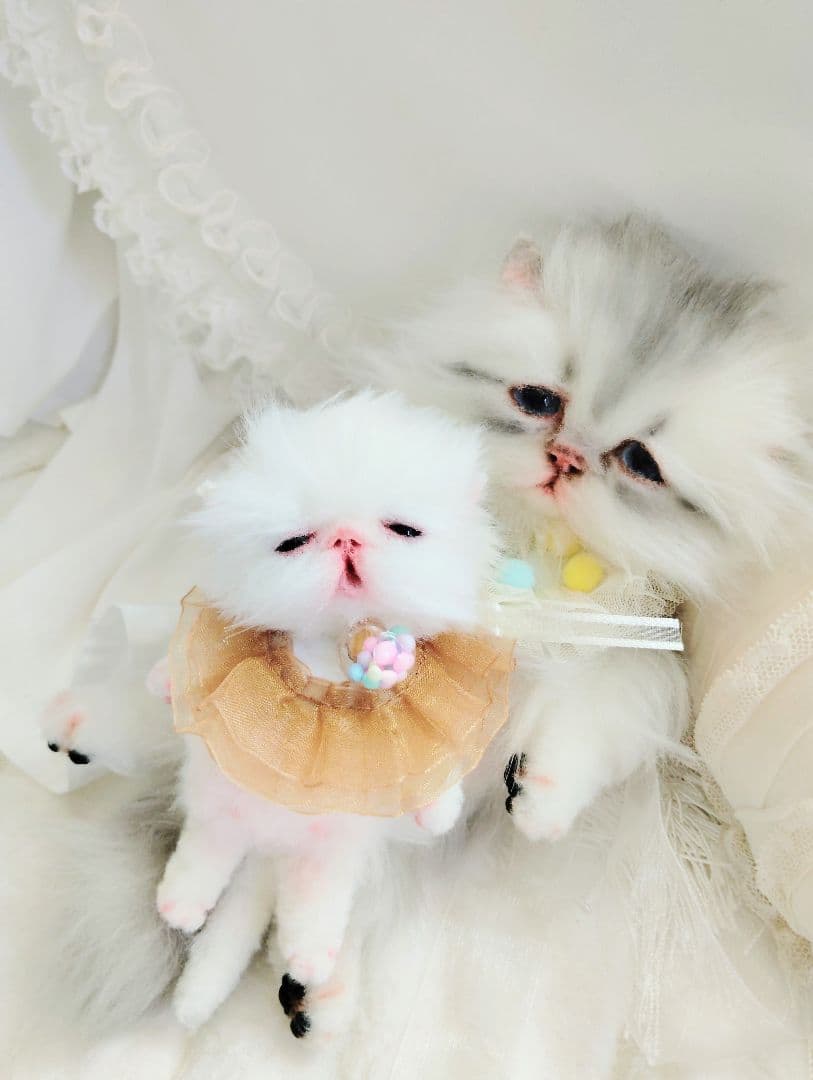 ♡さぁや♡ちゃんオーダー❤やわむぎゅ子猫ちゃん❤アートドール♡ぬいぐるみ♡