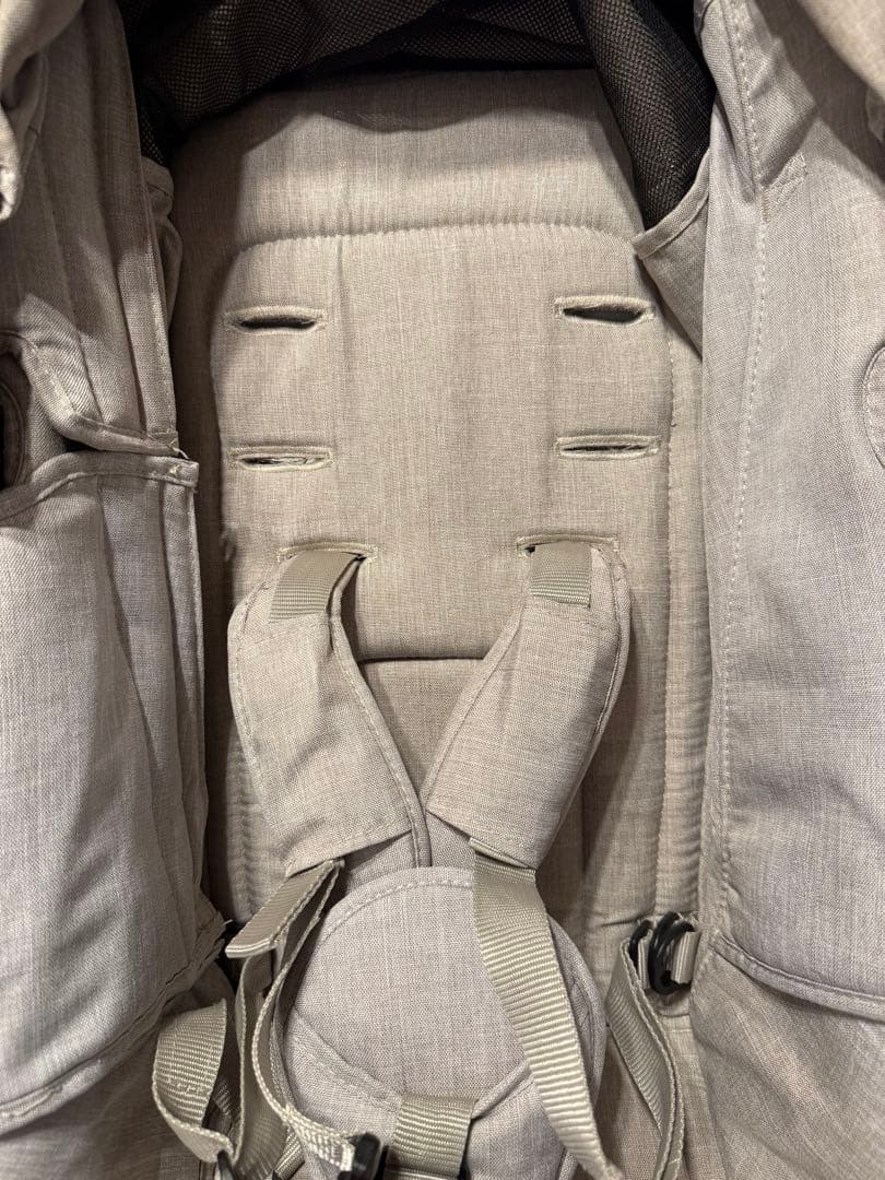 Air Buggy エアバギー ココダブルフロムバース