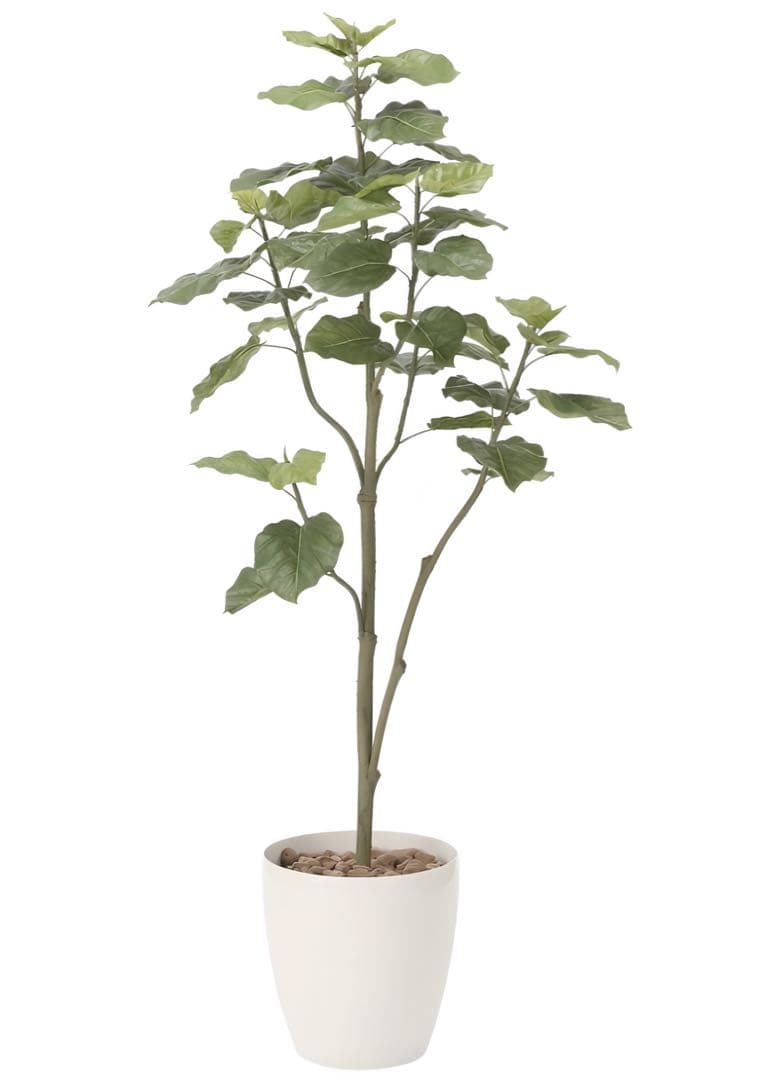 光触媒　人工観葉植物　フェイクグリーン　ウンベラータツリー1.8ｍ