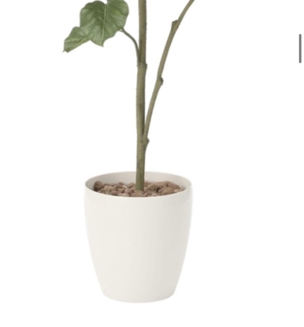 光触媒　人工観葉植物　フェイクグリーン　ウンベラータツリー1.8ｍ