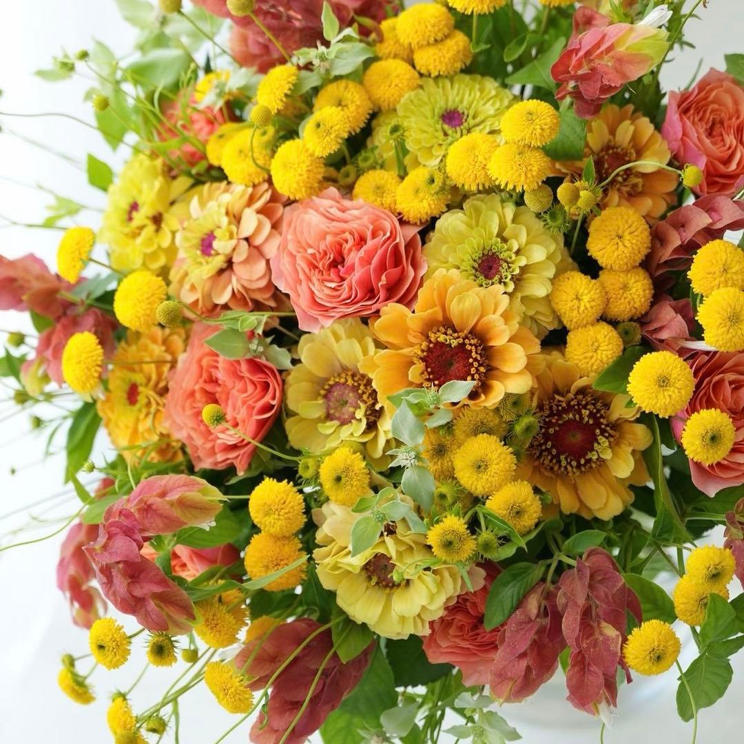 ぽち様の専用出品