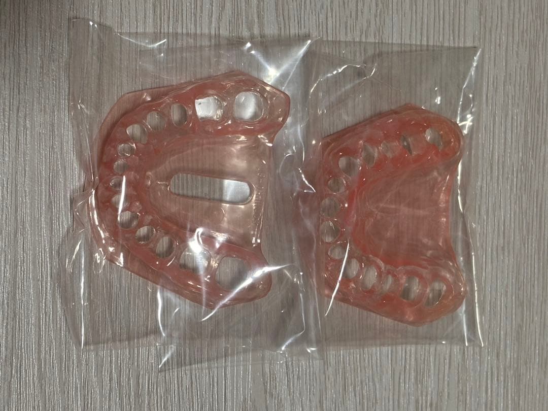 ニッシン 顎模型セット 歯科衛生士