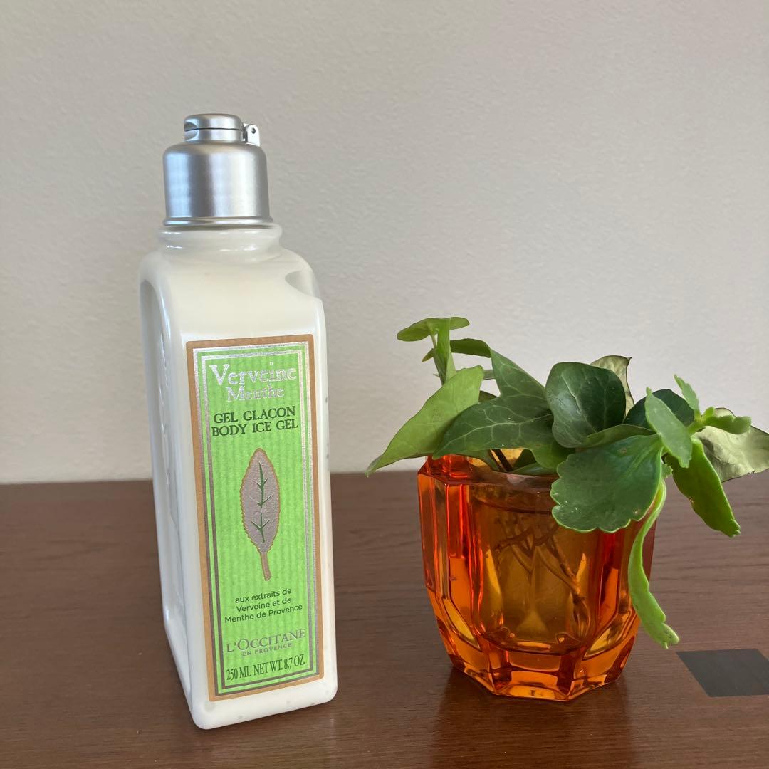 な*迎様 ロクシタン　L'OccitaneVerveine Menthe セット