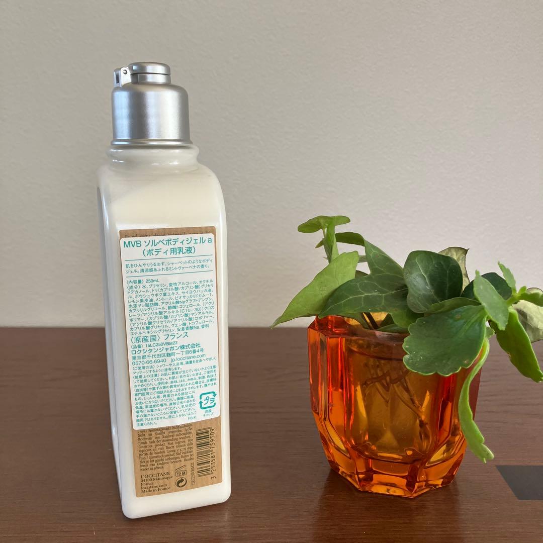 な*迎様 ロクシタン　L'OccitaneVerveine Menthe セット