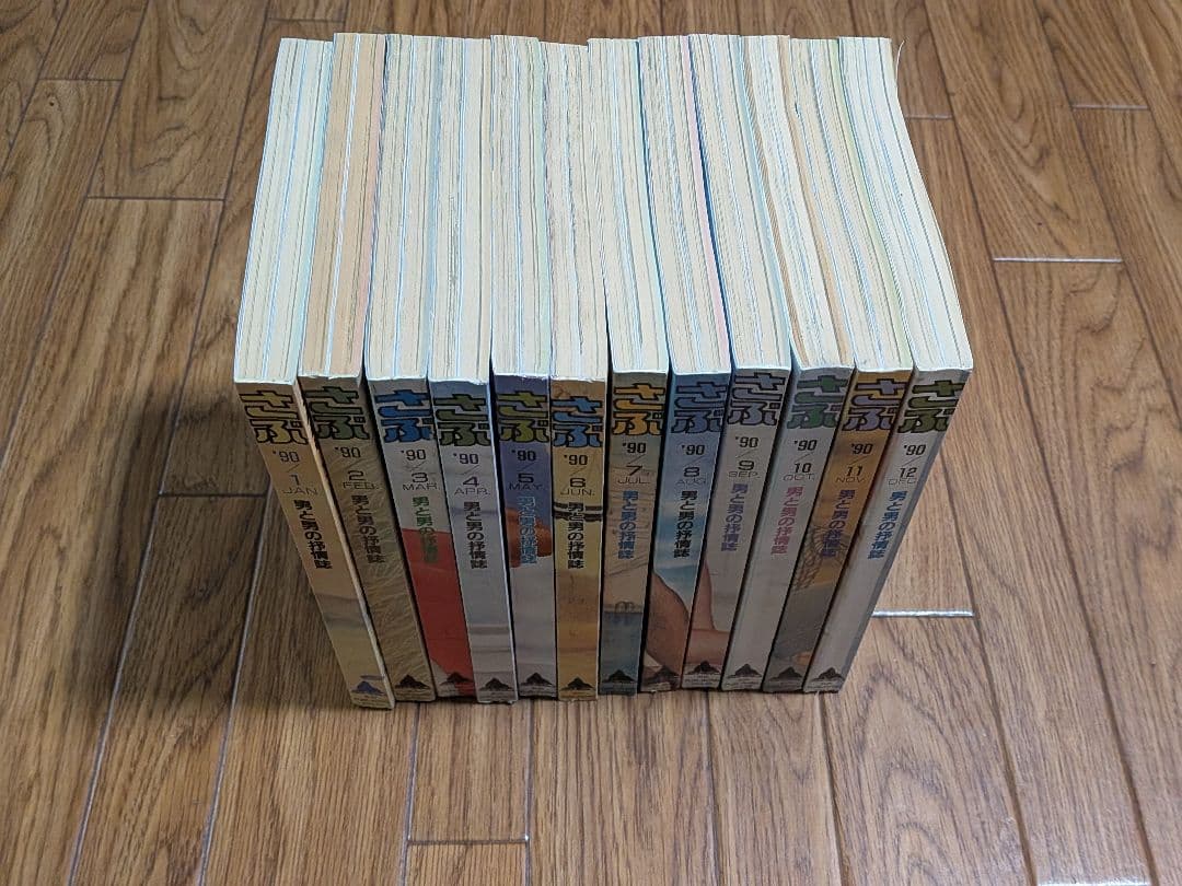 さぶ1990年 12冊セット