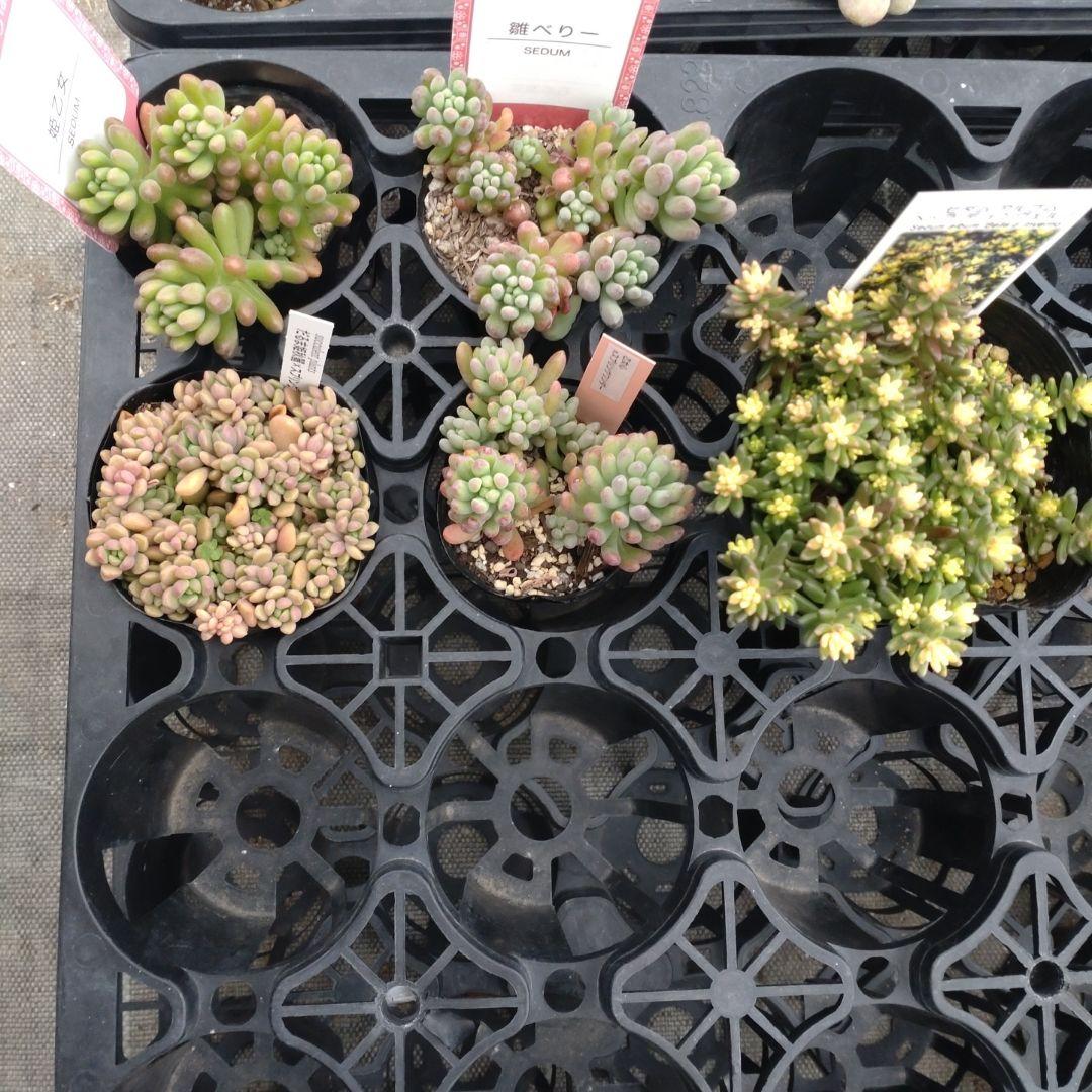 user_7a77ebd9さん専用