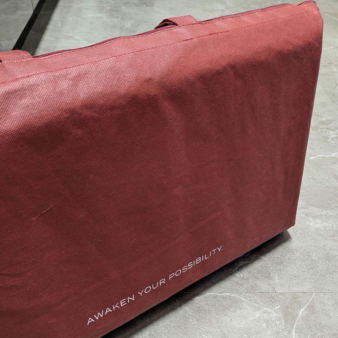 【新品未使用】ブレインスリープ スタンダード BRAIN SLEEP 枕 ②