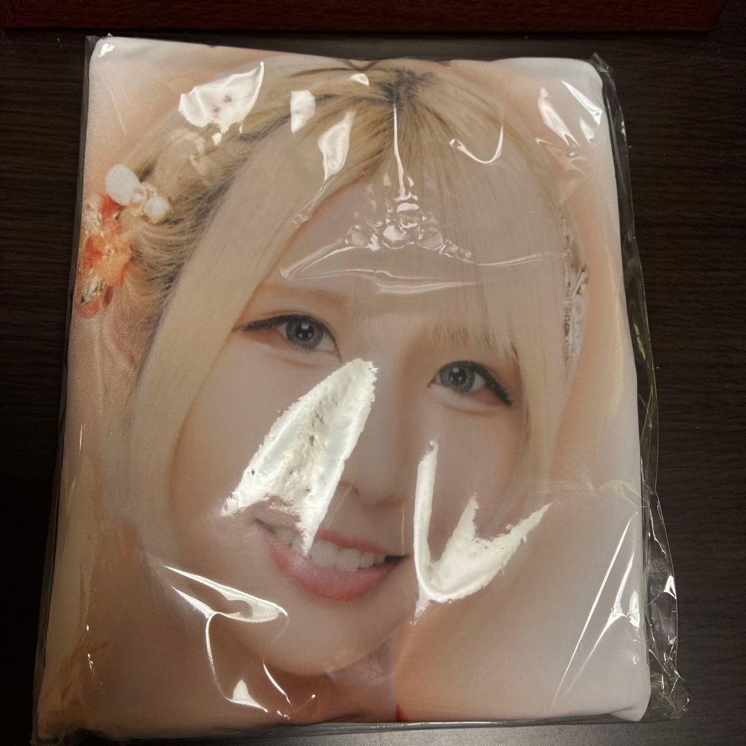 乙アリス FANZAオンラインくじ 抱き枕カバー