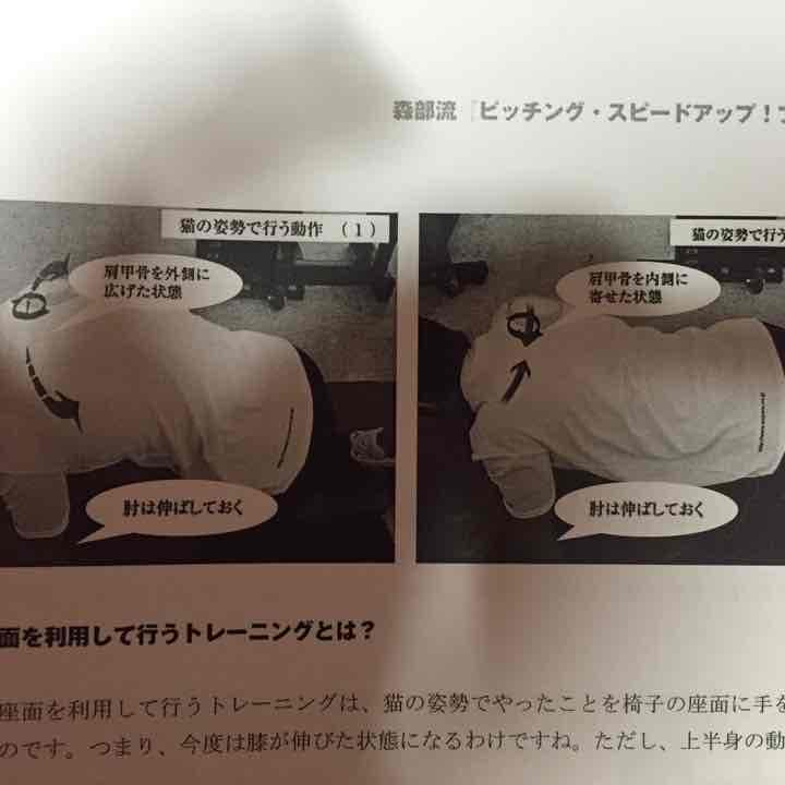 ピッチングプログラム