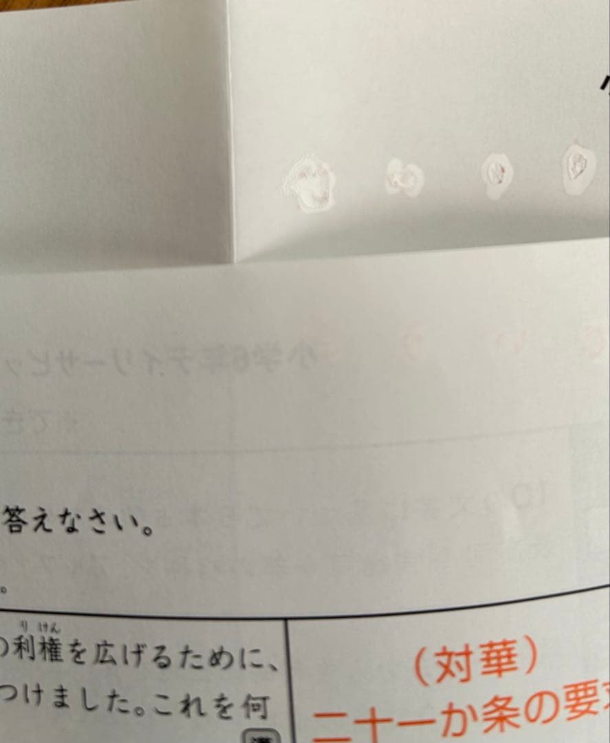 SAPIX小6社会　歴史地理公民現代社会 頻出用語まとめ　2025年入試用　原本
