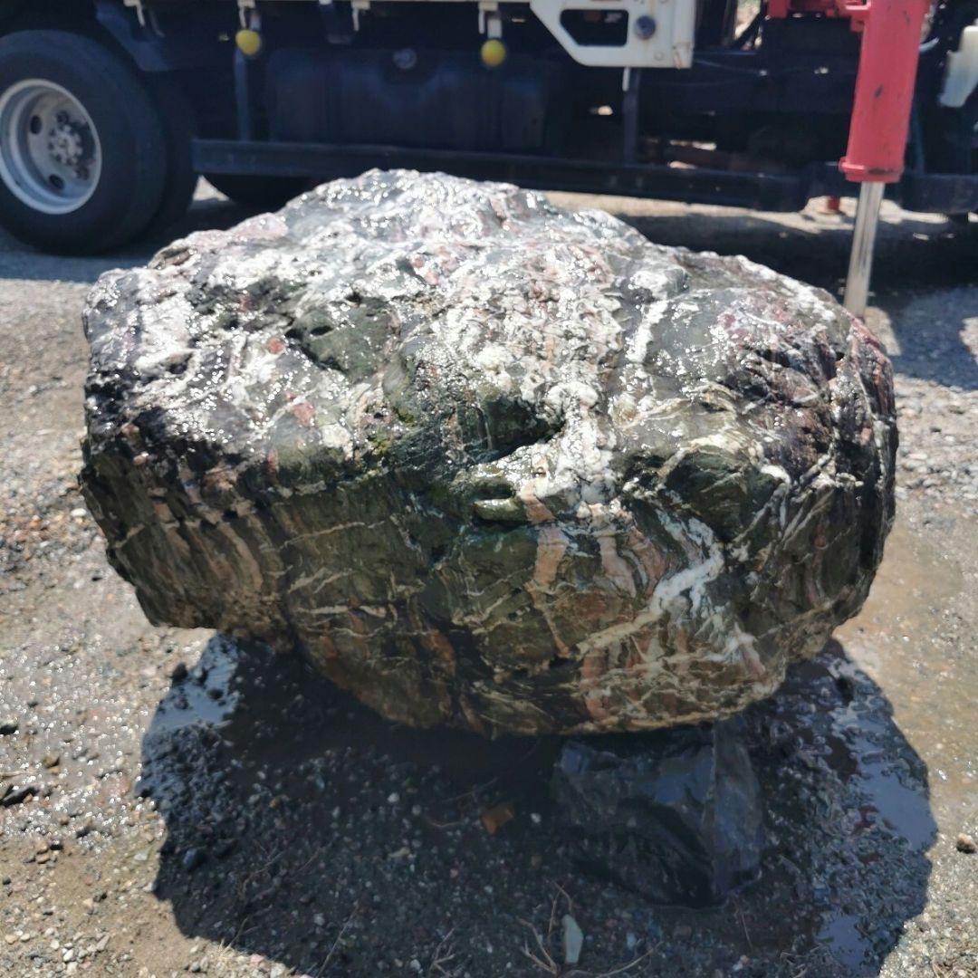 北海道産　三石　499キロ　庭石　鑑賞石 石　庭　坪庭　ガーデニング