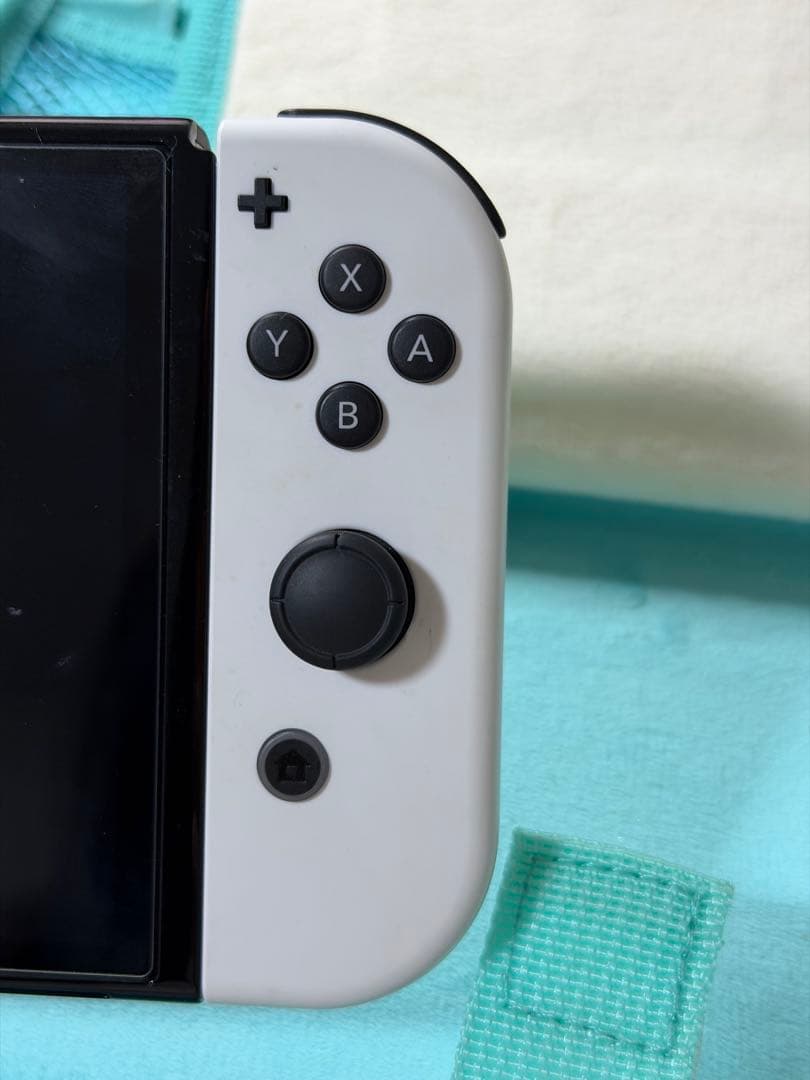 Nintendo Switch ホワイト/ブラック 本体 ケース付き