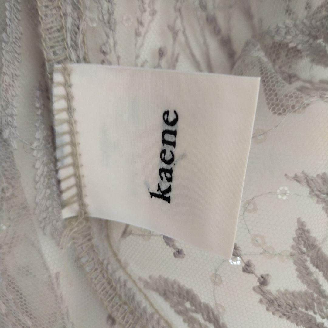 apaです。　kaene　スパンコールエンブロイダリードレス(M)
