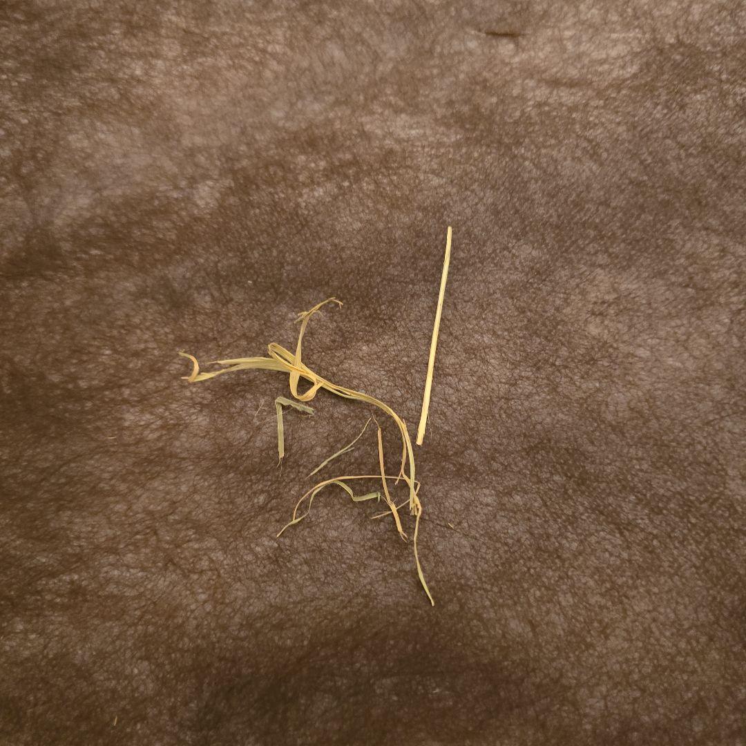 【UJack】SOLUS2ルームソロテント2ndロット