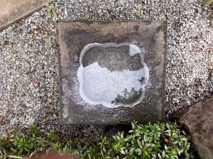 【自然石八重花柄模様水鉢・向鉢・蹲】バードバスガーデニング箱庭造園水石飾り石