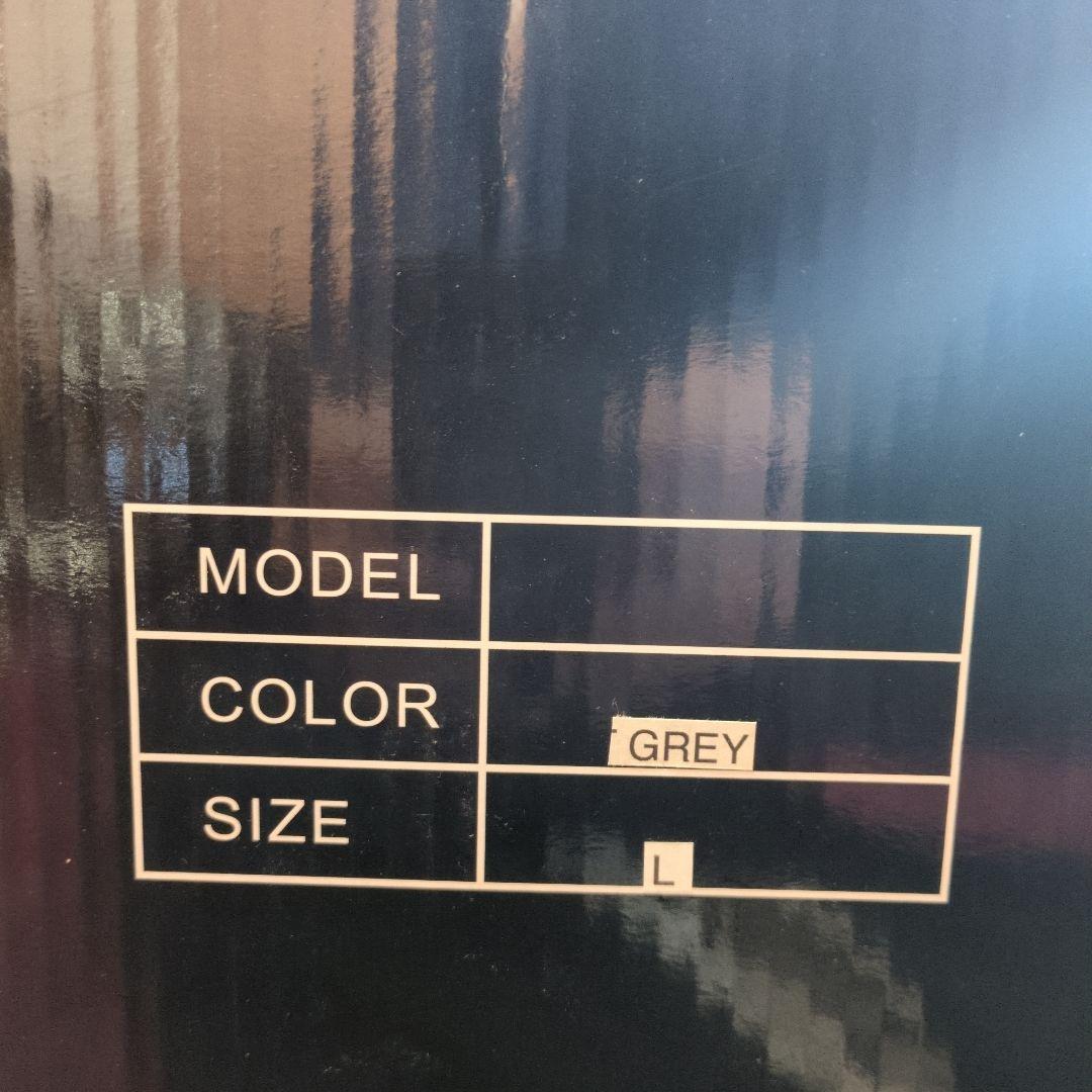 nobudz スペースヘルメット ファイナルエディション Lサイズ 　グレー