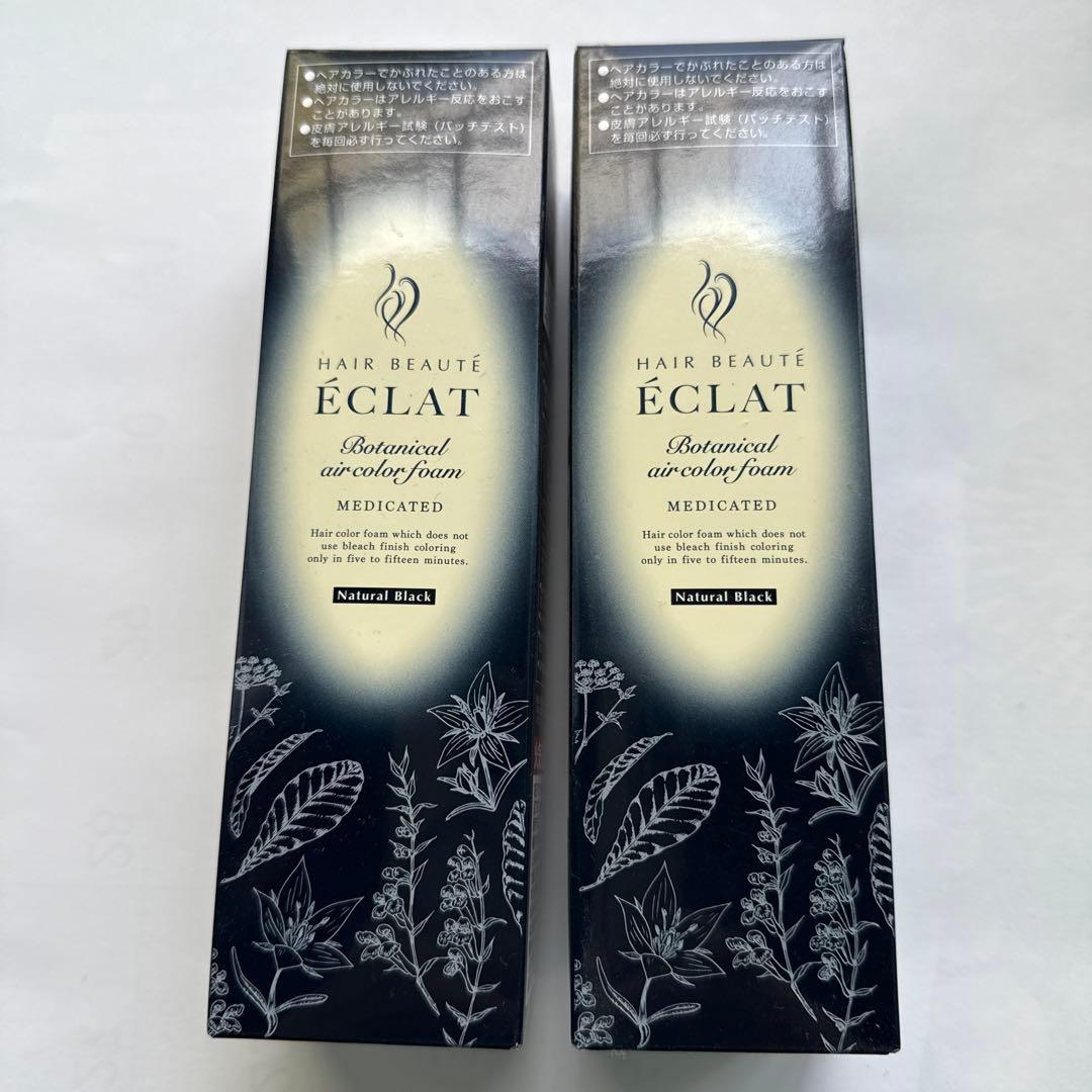 2本セット　ボタニカルエアカラーリングEX ナチュラルブラック 150g