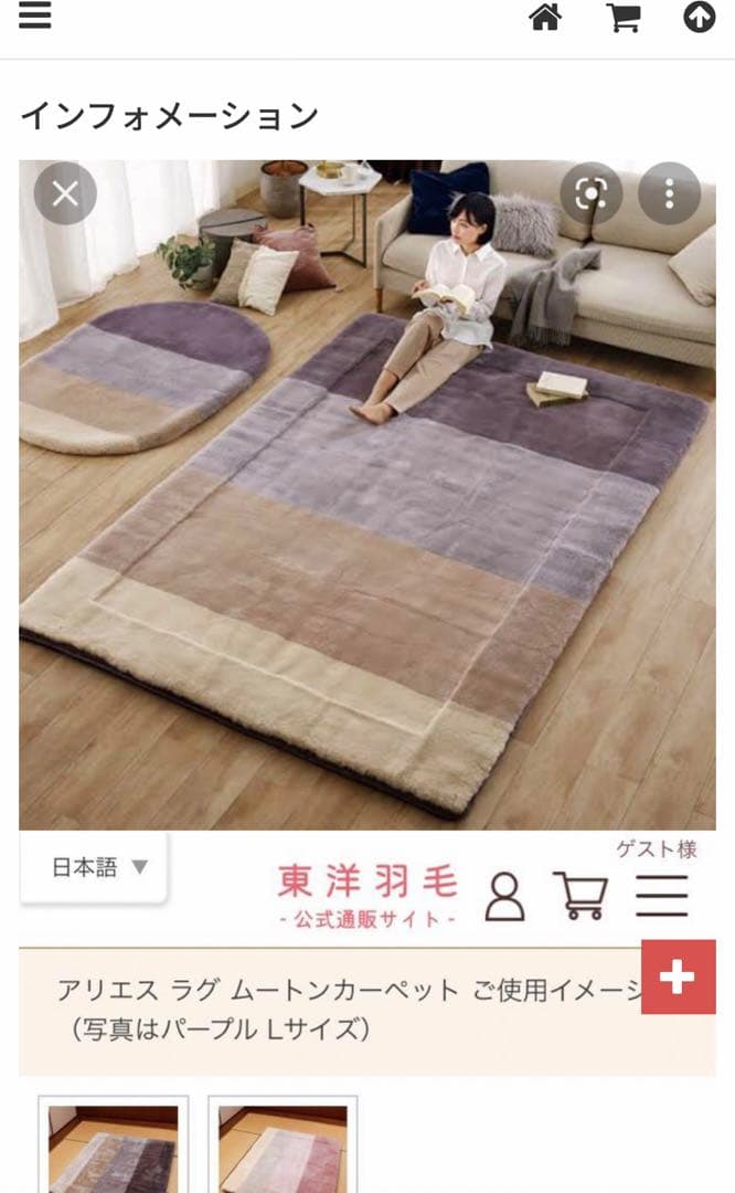 東洋羽毛　アリエスラグムートンカーペット　パープル