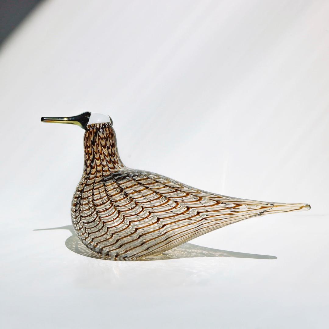 Kuiri SPOV オイバトイッカ　イッタラ　バード