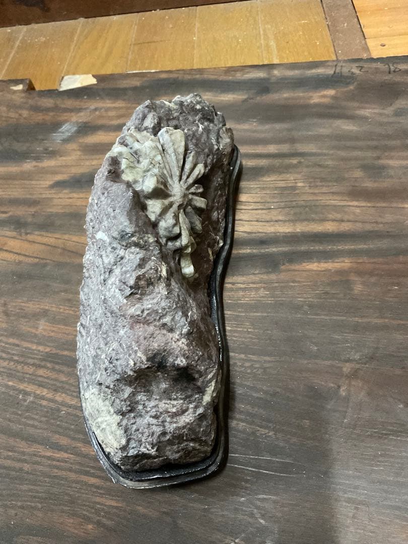 根尾川産　菊花石　極上品　天然石　台座付き。【インテリアに最適だと思います】。