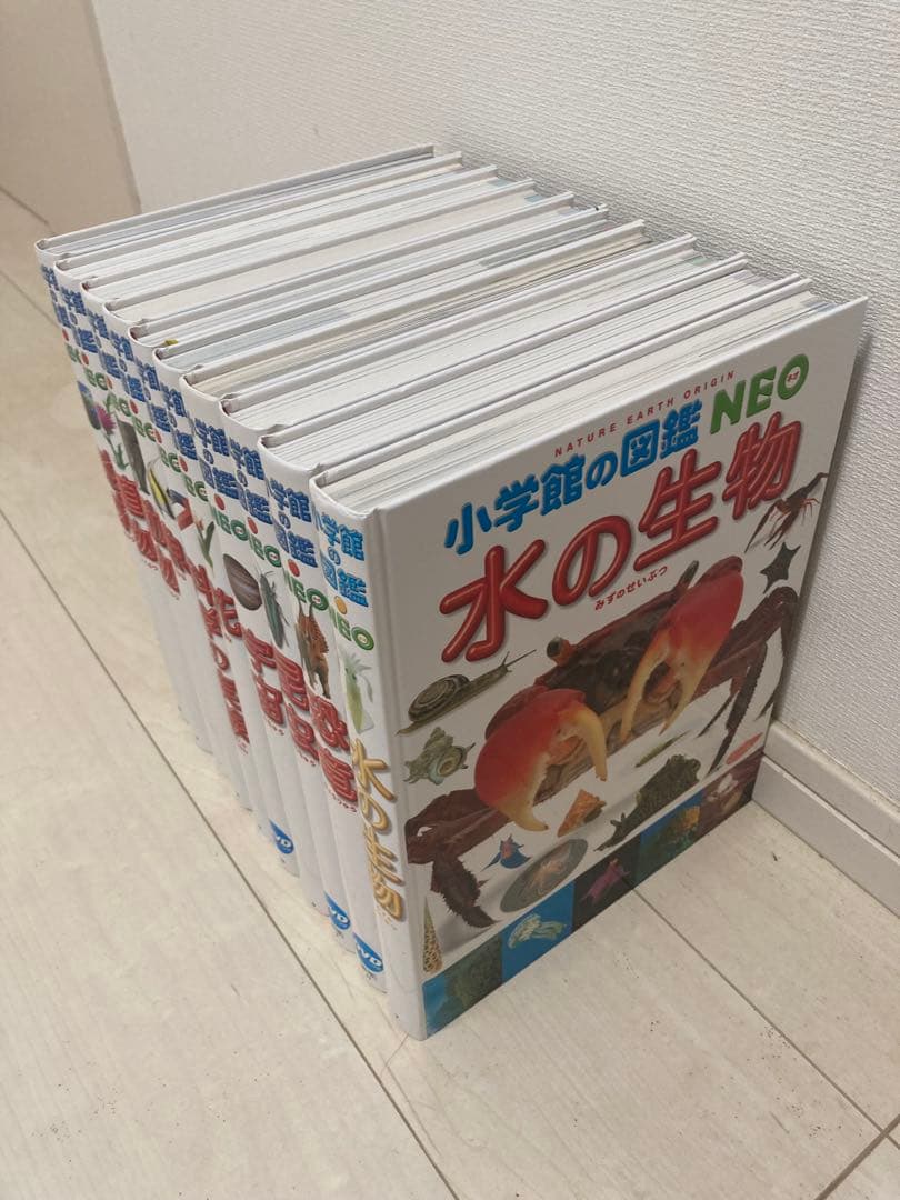 【美品】小学館の図鑑NEO 10冊セット 恐竜・昆虫・宇宙・動物 DVD付き3冊