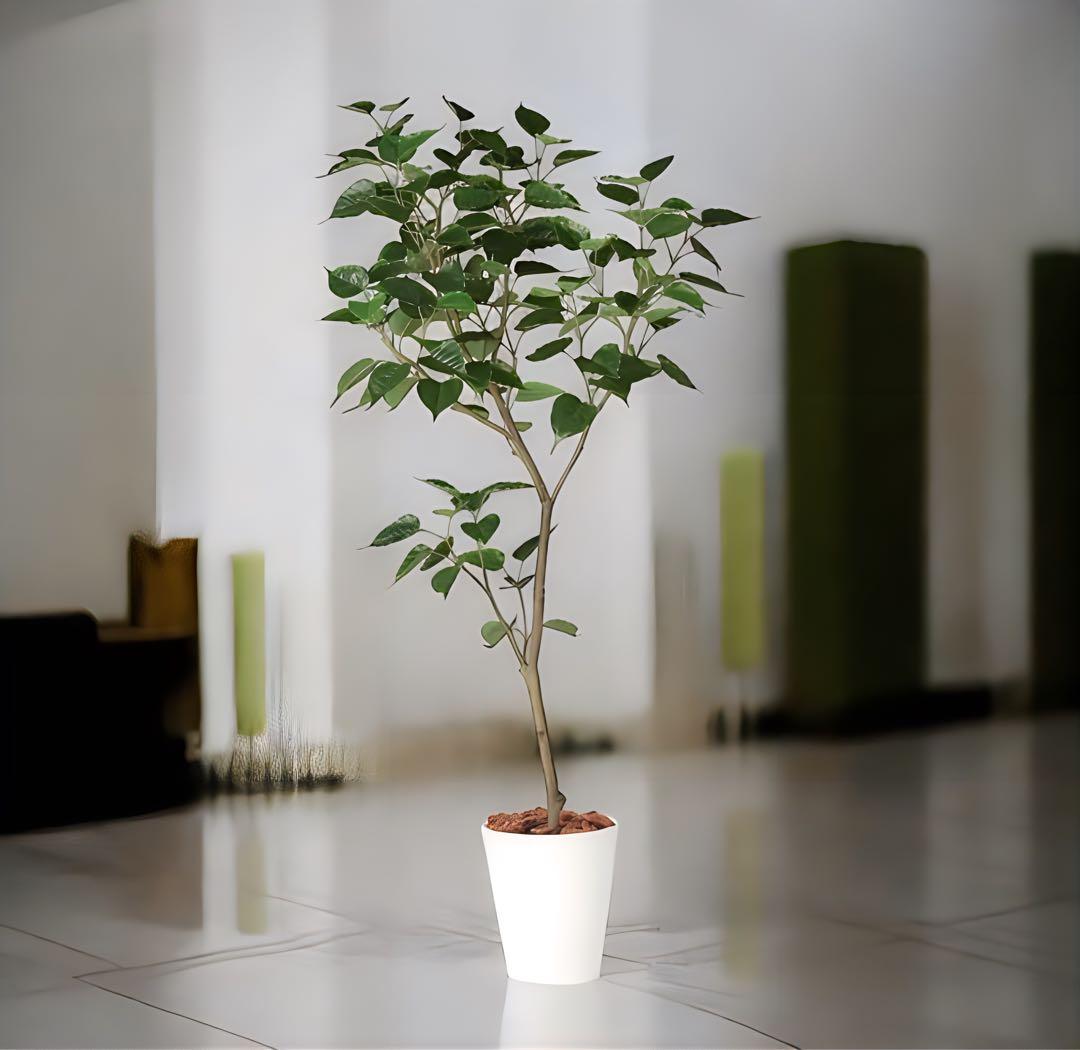 光触媒　人工観葉植物　ウォールグリーン　フェイクグリーン　ボダイジュ180