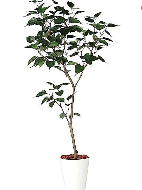 光触媒　人工観葉植物　ウォールグリーン　フェイクグリーン　ボダイジュ180