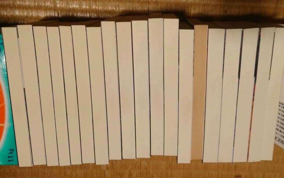 夢枕獏 餓狼伝、新・餓狼伝 、青狼の拳 文庫版 19冊 全巻 セット　　　　　４