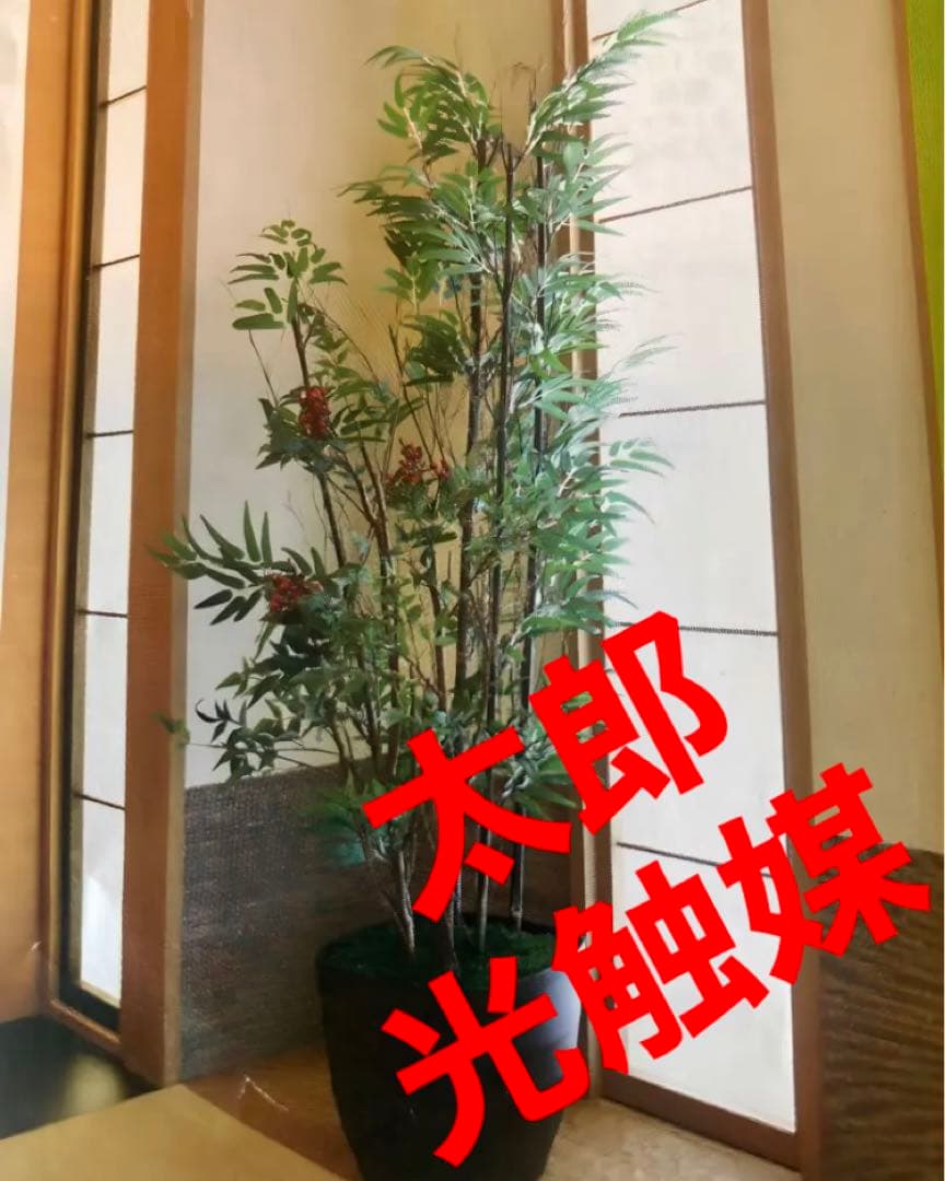 光触媒　人工観葉植物　ウォールグリーン　フェイクグリーン　黒竹&南天1.6m