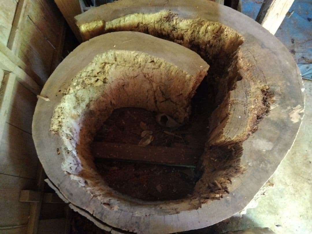 欅天然木の丸太　インテリア用