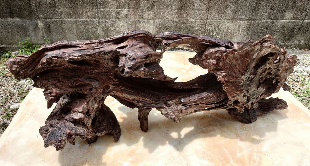 天然木根瘤 自然造形花器 置物 鑑賞木 瘤木 木のオブジェ 根木台 飾台 木目