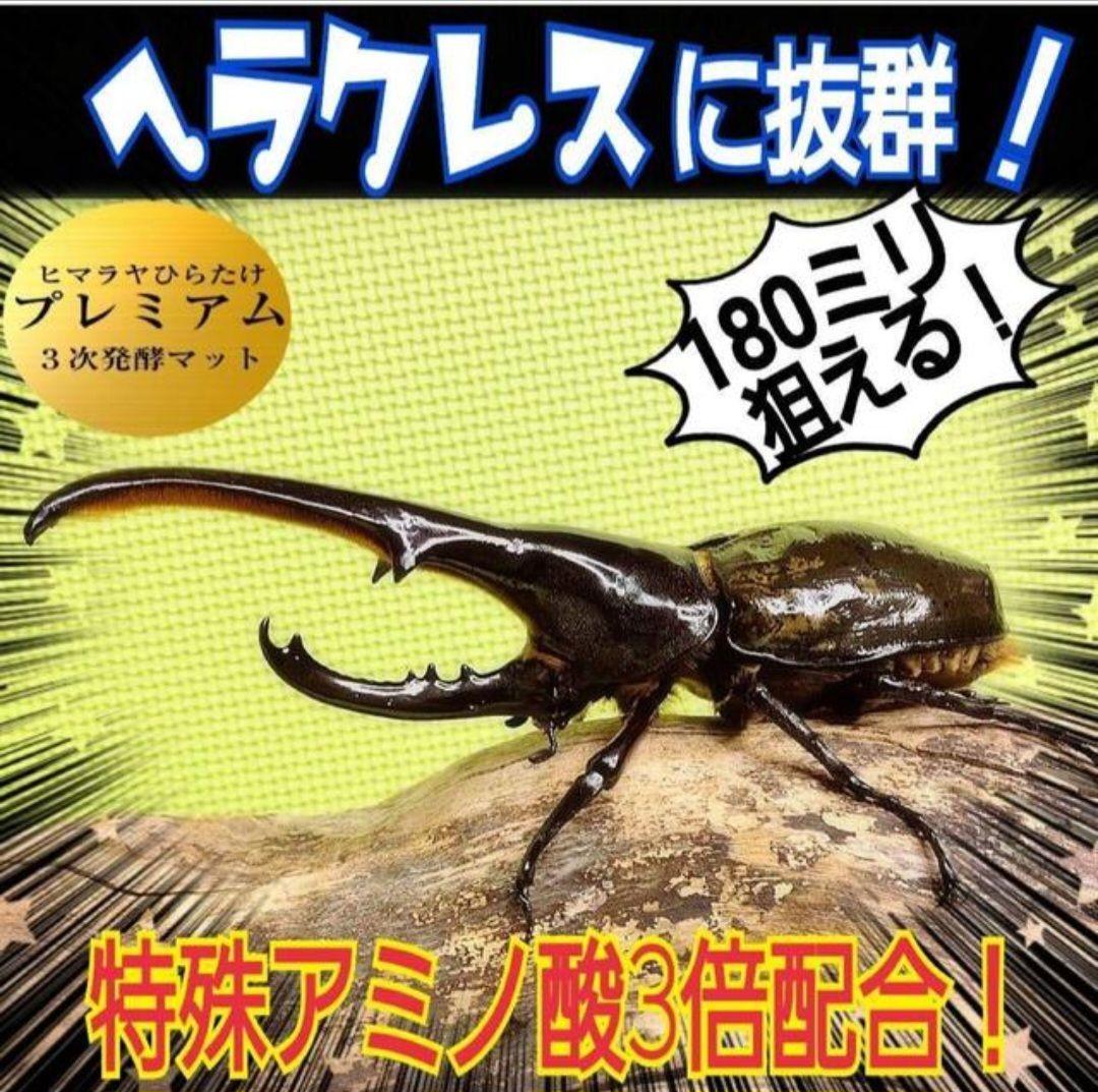 ヘラクレスに抜群！プレミアム3次発酵カブトムシマット【たっぷり60リットル】