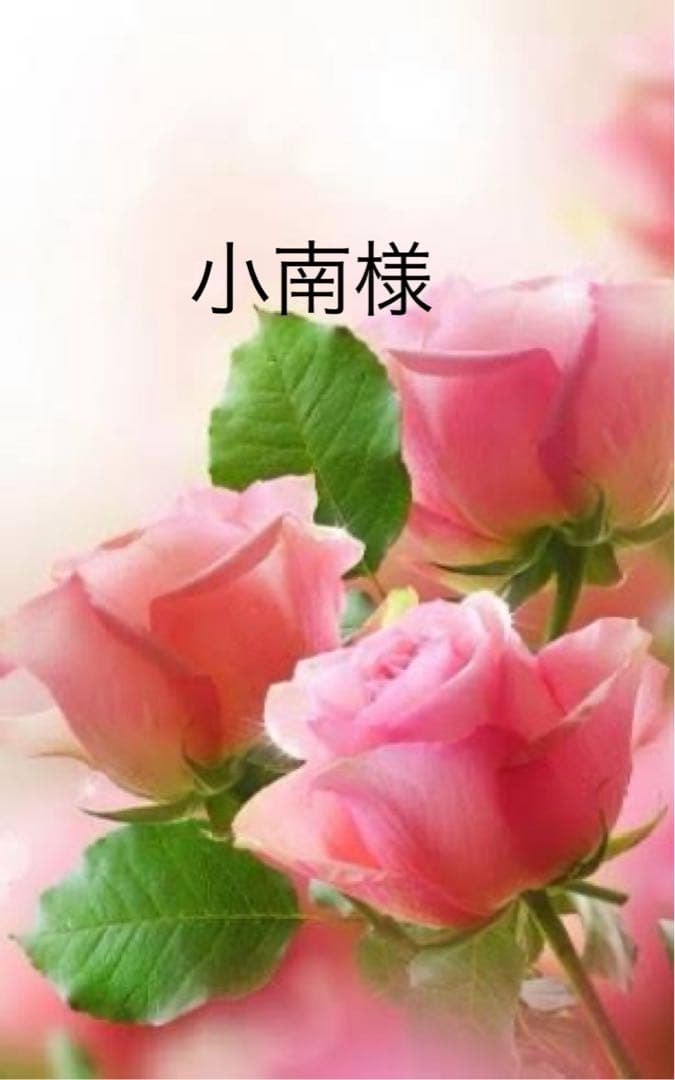 ＊小南ぺージ＊