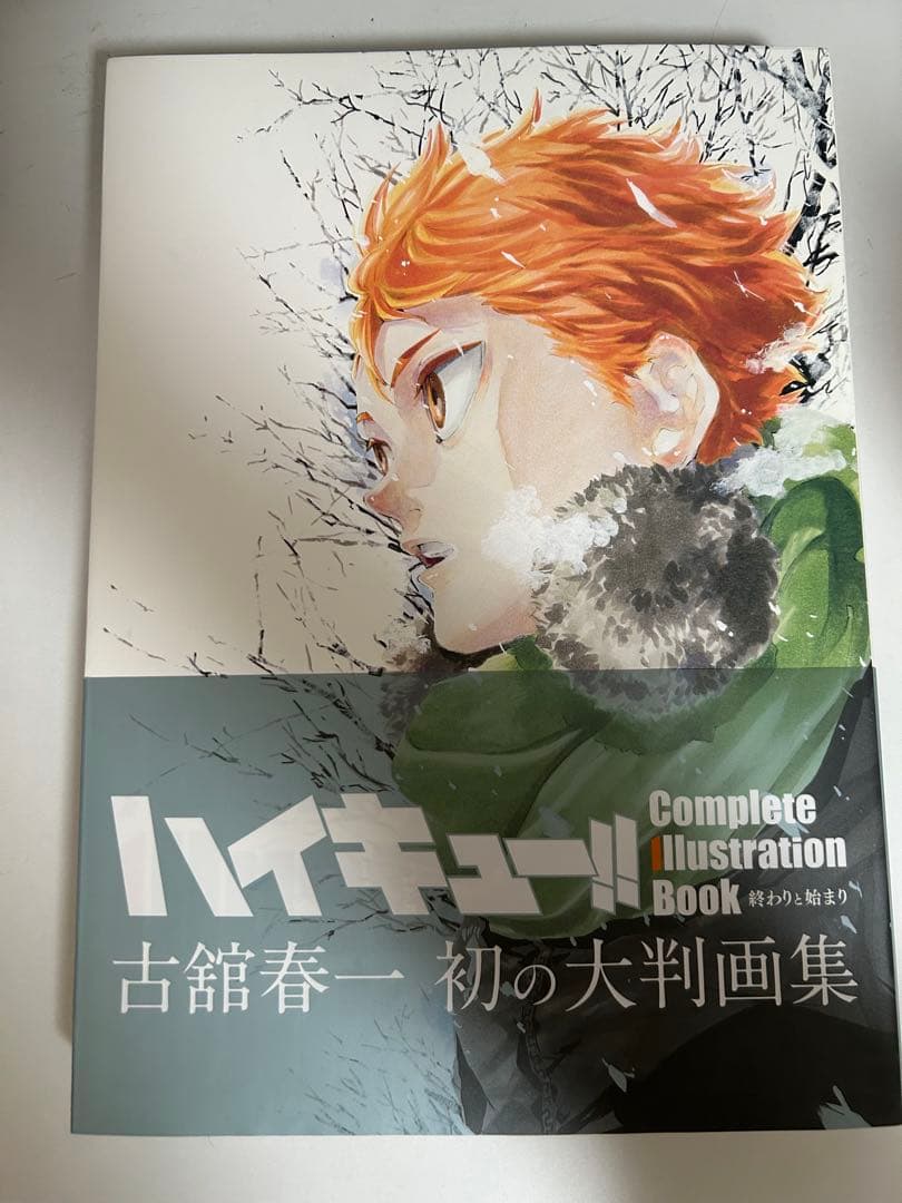 ハイキュー!! 全巻セット + イラスト集、小説