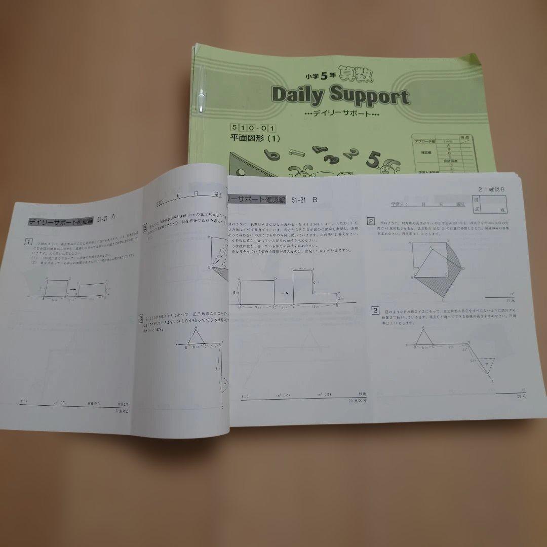 SAPIX 小5 書込み少 デイリーサピックス 季節講習 デイリーチェック 他