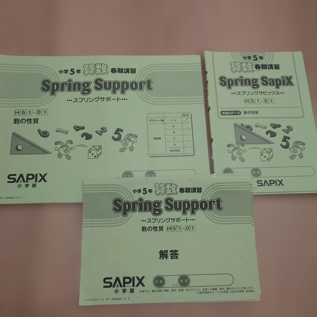 SAPIX 小5 書込み少 デイリーサピックス 季節講習 デイリーチェック 他