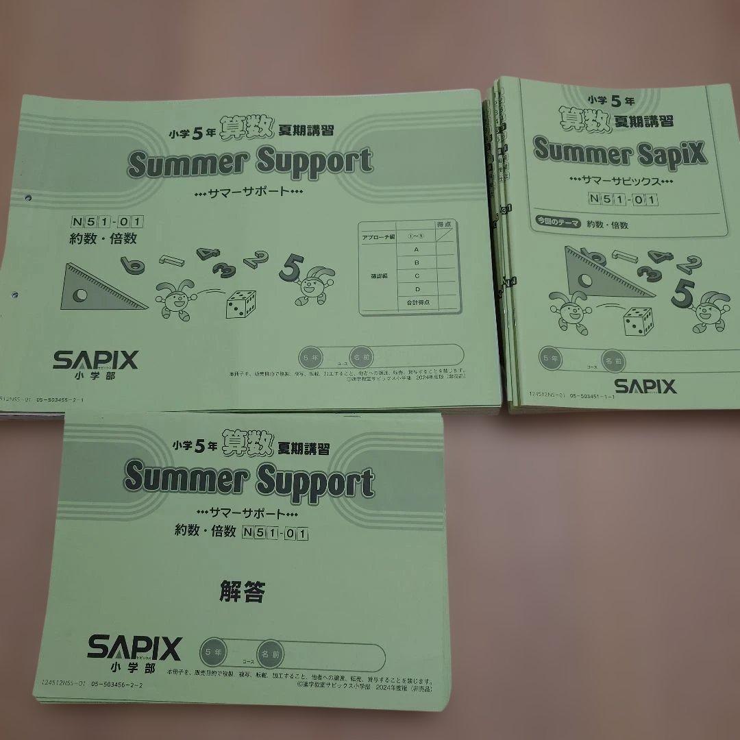 SAPIX 小5 書込み少 デイリーサピックス 季節講習 デイリーチェック 他