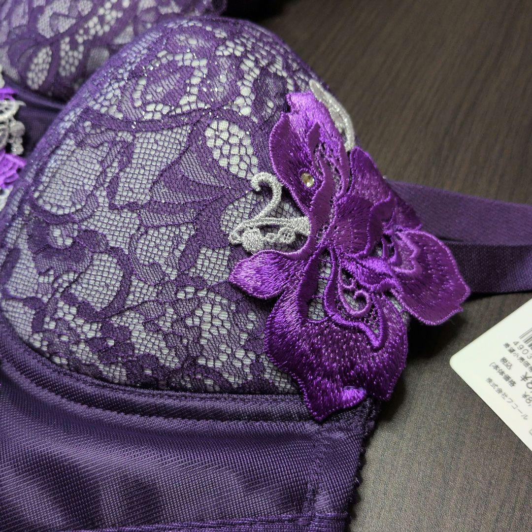 【フォロワー割引】 サルート 95G ブラジャー BTJ795 E75/L